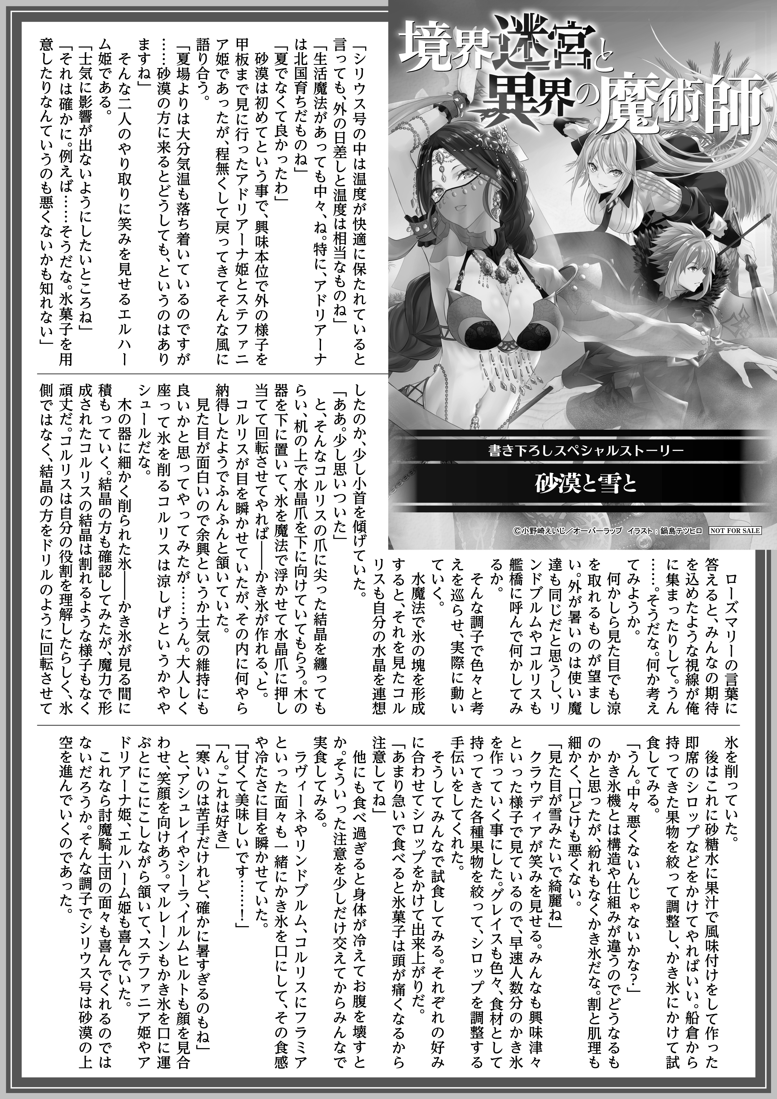 【ノベルス】「境界迷宮と異界の魔術師 12」A4SSペーパー